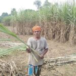 गुड़-के-फायदे छठ-महापर्व