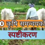 मशरक के कृषि समन्वयक रवि भूषण तिवारी मामला कृषि इनपुट अनुदान आवेदनों के सत्यापन में लापरवाही बरतने का मामला 