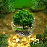 “प्रकृति के संग : पर्यावरण पर फिल्मोत्सव”- फिल्म प्रभाग