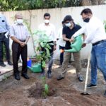 मुख्यमंत्री श्री हेमन्त सोरेन द्वारा विश्व पर्यावरण दिवस के अवसर पर वृक्षारोपण किया गया