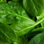 सर्दियों में ज्यादा से ज्यादा साग को करें अपने डाइट में शामिल