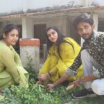 विश्व पर्यावरण दिवस पर वातावरण को हरा-भरा करने का बीड़ा उठाया जंगल प्लानेट के प्रकृति प्रेमी – ई. विजय राज