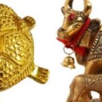 Vastu Tips: अमीरों के घर में जरूर होती हैं ये 7 चीजें