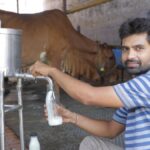 Dairy Success Story: इंजीनियरिंग की नौकरी छोड़ लौटे गांव, 