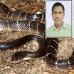 4 बच्चों के साथ सो रहे थे, आधी रात को करैत ने दंपति को काटा,