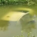 पहले पोल से टकराई फिर नहर में पलट गई, चलती कार की स्टेयरिंग जाम होने से पटना में हादसा; 