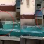 MYH अस्पताल में चूहों ने नवजात बच्चों के कुतरे हाथ